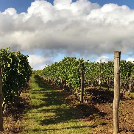 Veze-birtok شقة *