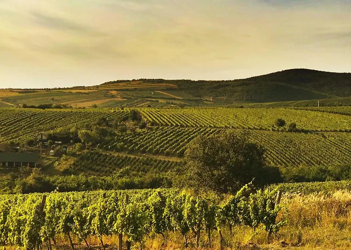 Veze-birtok *