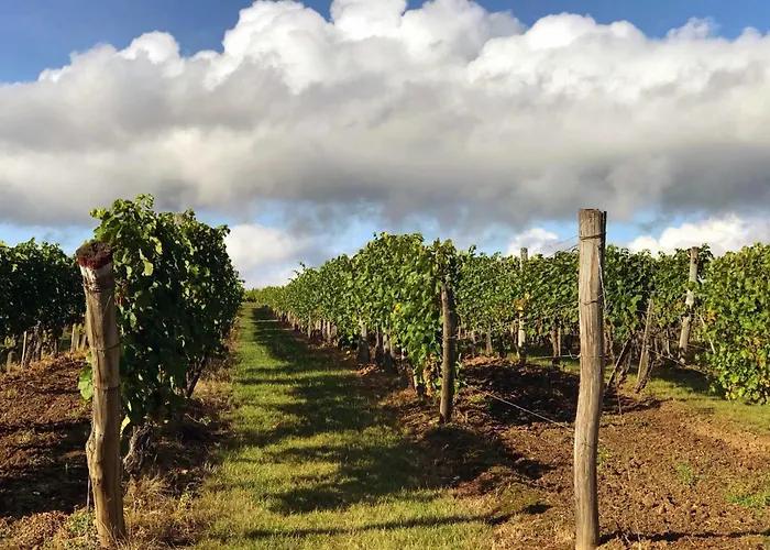 Veze-birtok דירה *